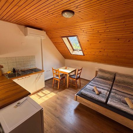 Hisa Patricija Appartement Soča Buitenkant foto