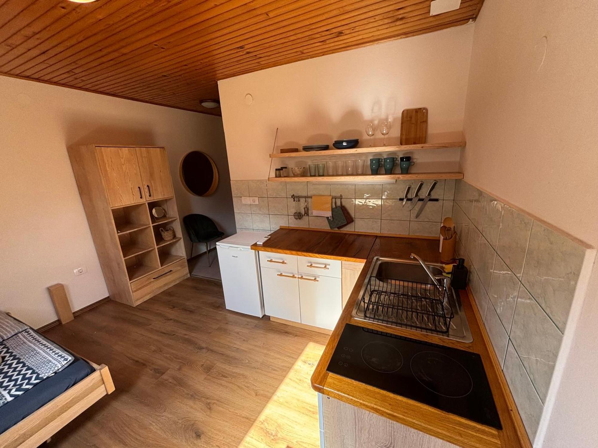 Hisa Patricija Appartement Soča Buitenkant foto