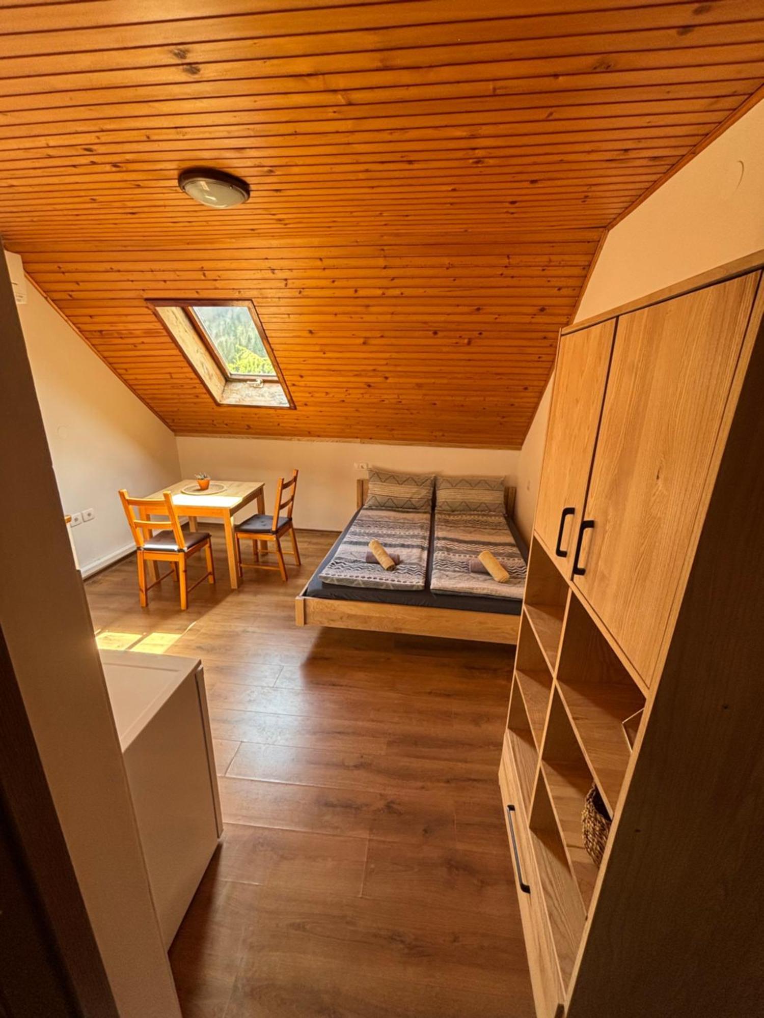 Hisa Patricija Appartement Soča Buitenkant foto