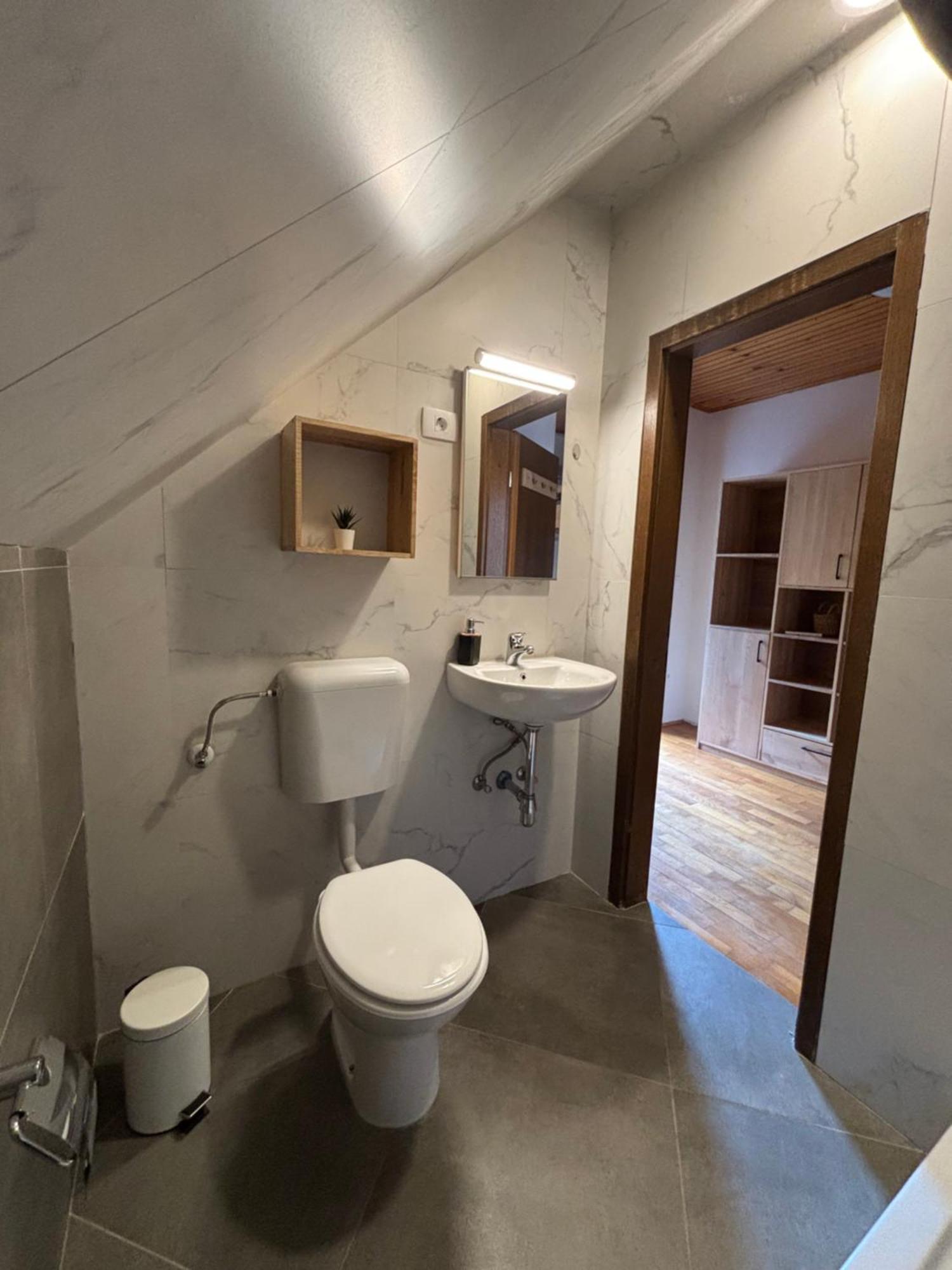 Hisa Patricija Appartement Soča Buitenkant foto