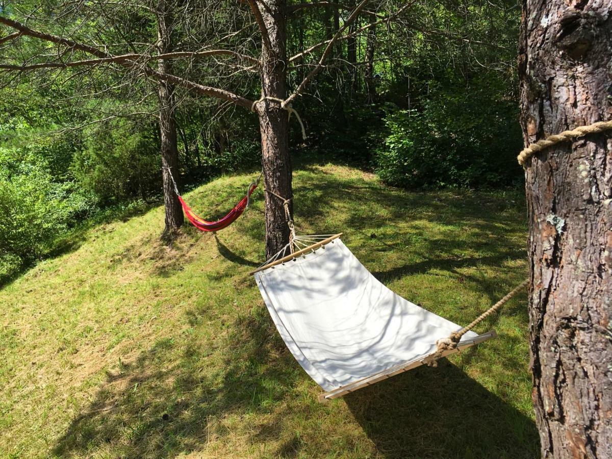 Hisa Patricija Appartement Soča Buitenkant foto