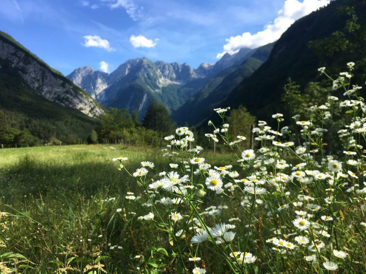 Hisa Patricija Appartement Soča Buitenkant foto