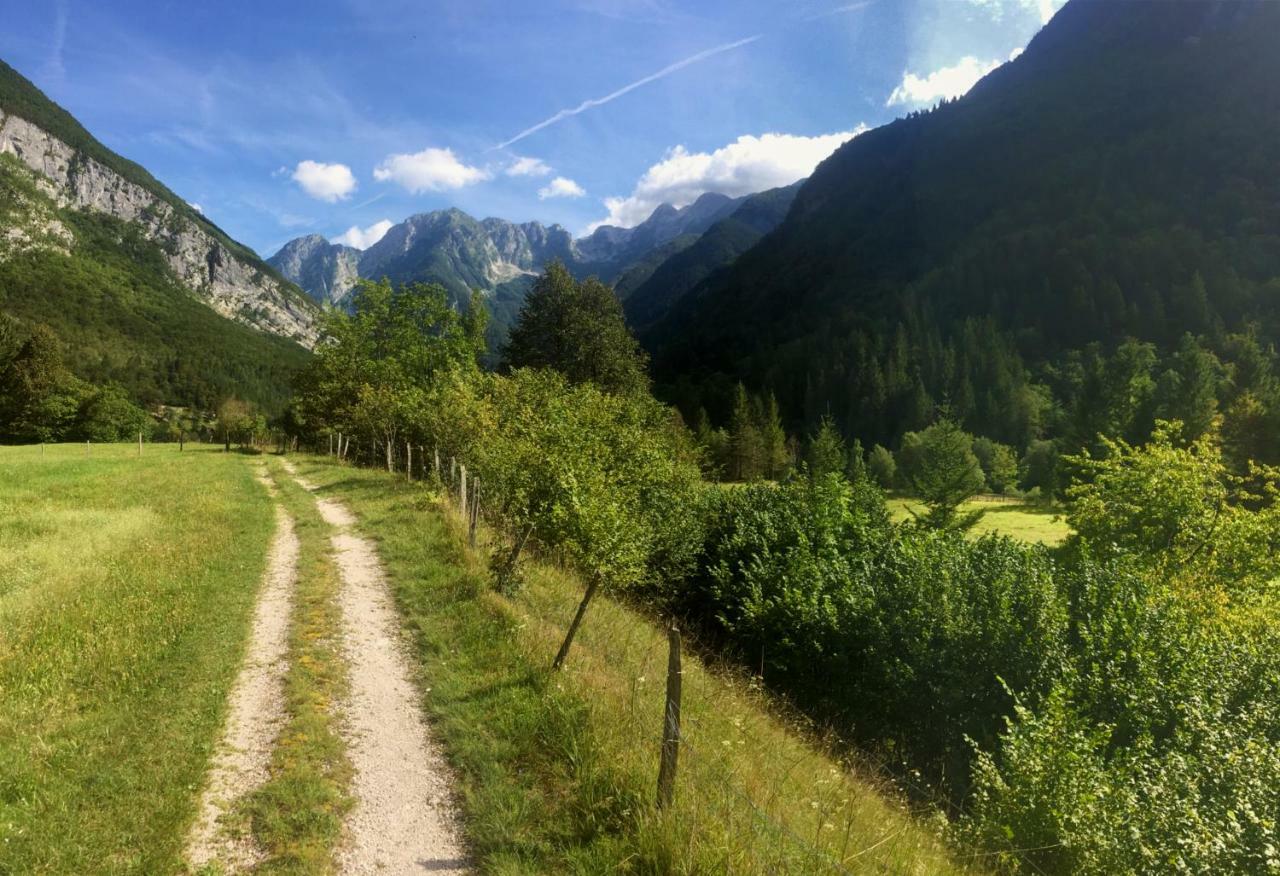 Hisa Patricija Appartement Soča Buitenkant foto