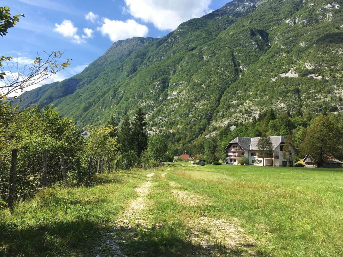 Hisa Patricija Appartement Soča Buitenkant foto