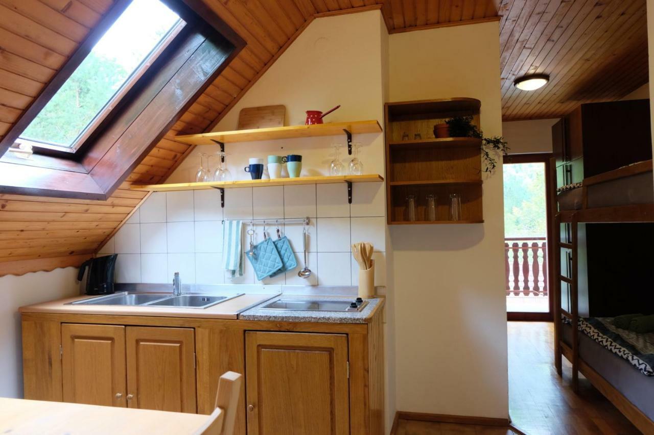 Hisa Patricija Appartement Soča Buitenkant foto